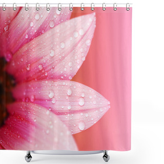 Personality  Abstract Flower Petals Shower Curtains