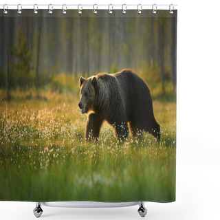 Personality  Wild Big Male Brown Bear In The Flowering Grass Shower Curtains