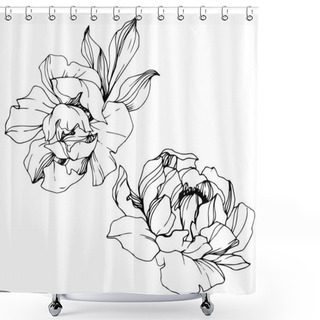 Personality  Vector Peony Floral Botanical Flower. Black And White Engraved Ink Art. Isolated Peony Illustration Element. Shower Curtains