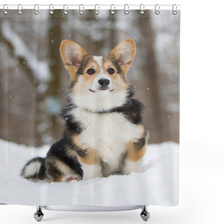 Personality  Welsh Corgi Pembroke Puppy In The Snow Shower Curtains