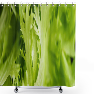 Personality  Close Up View Of Fresh Green Salad Leaves, Panoramic Shot Shower Curtains