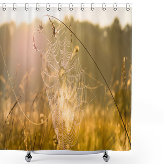 Personality  Indian Summer And Cobwebs Shower Curtains