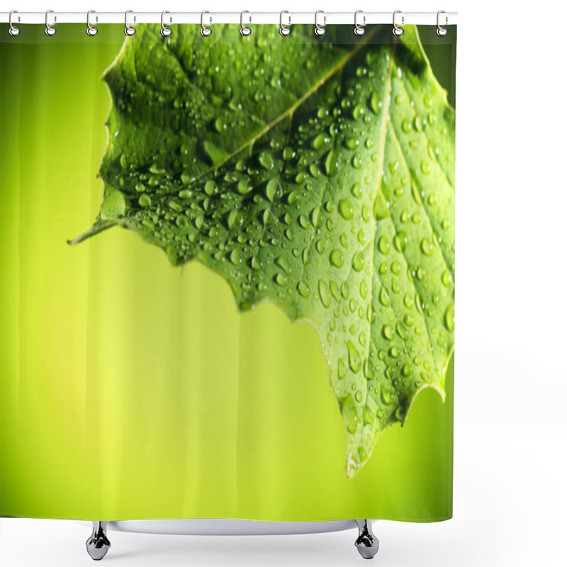 Personality  Leaf Shower Curtains