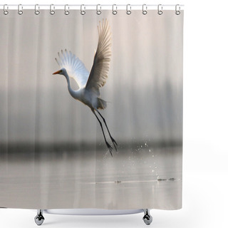 Personality  Great Egret Taking Off Shower Curtains