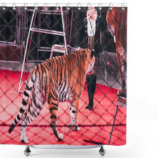 Personality  KYIV, UKRAINE - NOVEMBER 1, 2019: Selective Focus Of Handler Performing With Tigers Behind Grid Of Circus Arena Shower Curtains