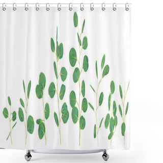 Personality  Silver Dollar Eucalyptus Selection Branches Vector Design Set. C Shower Curtains