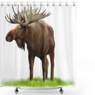 Personality  Moose. Adult Male Elk Shower Curtains