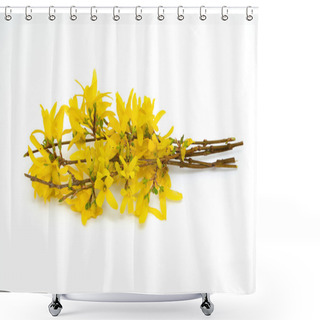 Personality  Forsythia Isolated On White Background Shower Curtains