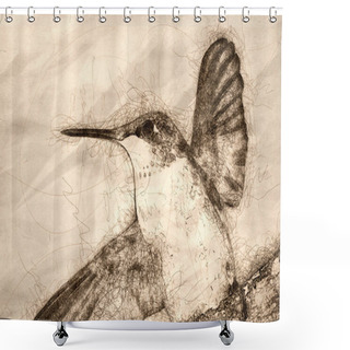 Personality  Sketch Of A Close Up Of A Ruby Throated Hummingbird Against A Dark Background Shower Curtains