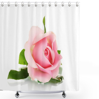 Personality  Pink Rose Isolated On White Shower Curtains