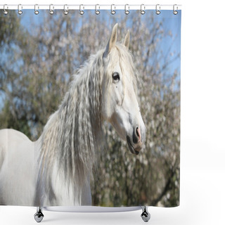Personality  Portrait Of Beautiful Andalusian Mare In Spring Shower Curtains