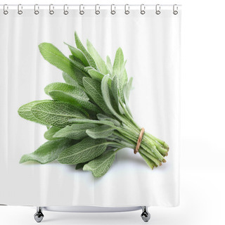 Personality  Sage Plant Shower Curtains