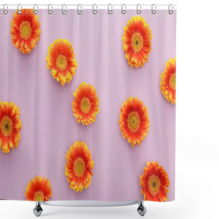 Personality  Top View Of Orange Gerbera Flowers On Violet Background Shower Curtains