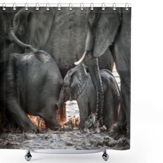 Personality  Elephants In Water Shower Curtains