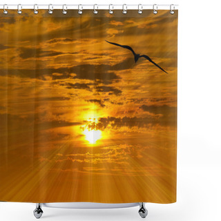 Personality  Bird Flying Silhouette Shower Curtains