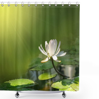 Personality  Water Lily Flower Shower Curtains