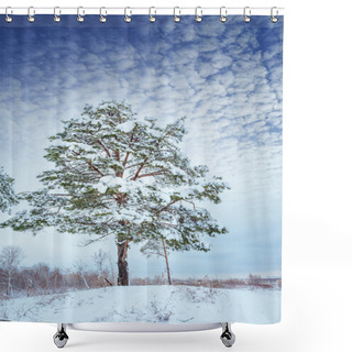 Personality  New Year Tree In Winter Forest. Beautiful Winter Landscape With Snow Covered Trees. Trees Covered With Hoarfrost And Snow. Beautiful Winter Landscape. Snow-covered Tree Branch. Shower Curtains