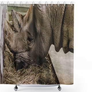 Personality  Close Up View Of Safari Rhino Eating Meal At Zoo Shower Curtains