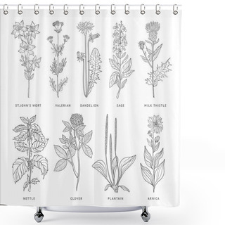 Personality  Medical Herbs Vector Set. Shower Curtains