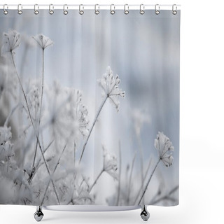 Personality  Winter Shower Curtains