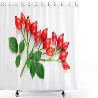 Personality  Bunch Of Rosehips With Leaves Isolated On White Shower Curtains
