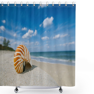 Personality  Nautilus Shell Shower Curtains