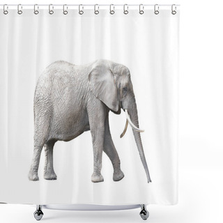 Personality  African Elephant Isolated On White Background Shower Curtains