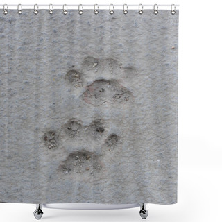 Personality  Cat Paw Prints In Concrete Shower Curtains