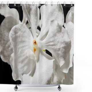 Personality  Close Up View Of White Orchid Flower Isolated On Black Shower Curtains