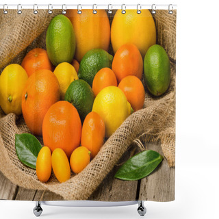 Personality  Fresh Citrus Fruits   Shower Curtains