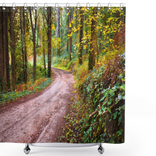 Personality  Forest Footpath Shower Curtains