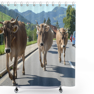 Personality  Cow Group Shower Curtains