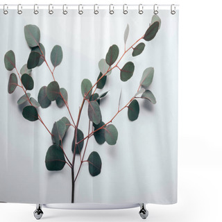 Personality  Top View Of Green Eucalyptus Branches On White Shower Curtains
