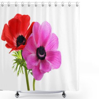 Personality  Beautiful Anemone On White Shower Curtains
