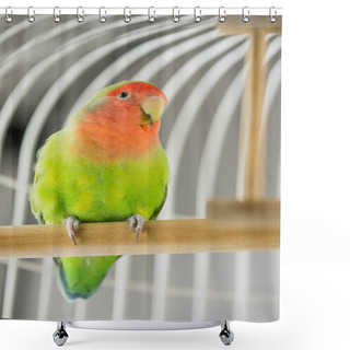 Personality  Rosy Faced Lovebird Shower Curtains