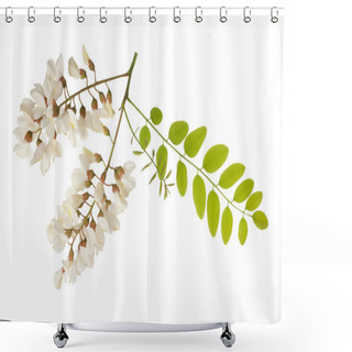 Personality  Acacia Flowers Shower Curtains