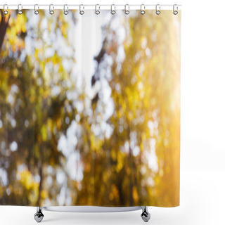 Personality  Selective Focus Of Trees With Yellow And Green Leaves In Autumnal Park At Day  Shower Curtains