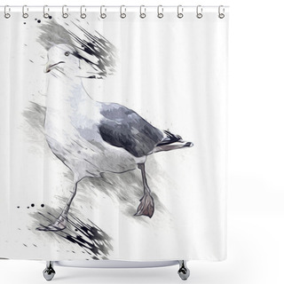 Personality  Atlantic White Seabird Fly At Sky. Beach Seagull . Sea Birds, Gull Cartoon Art Illustration Shower Curtains