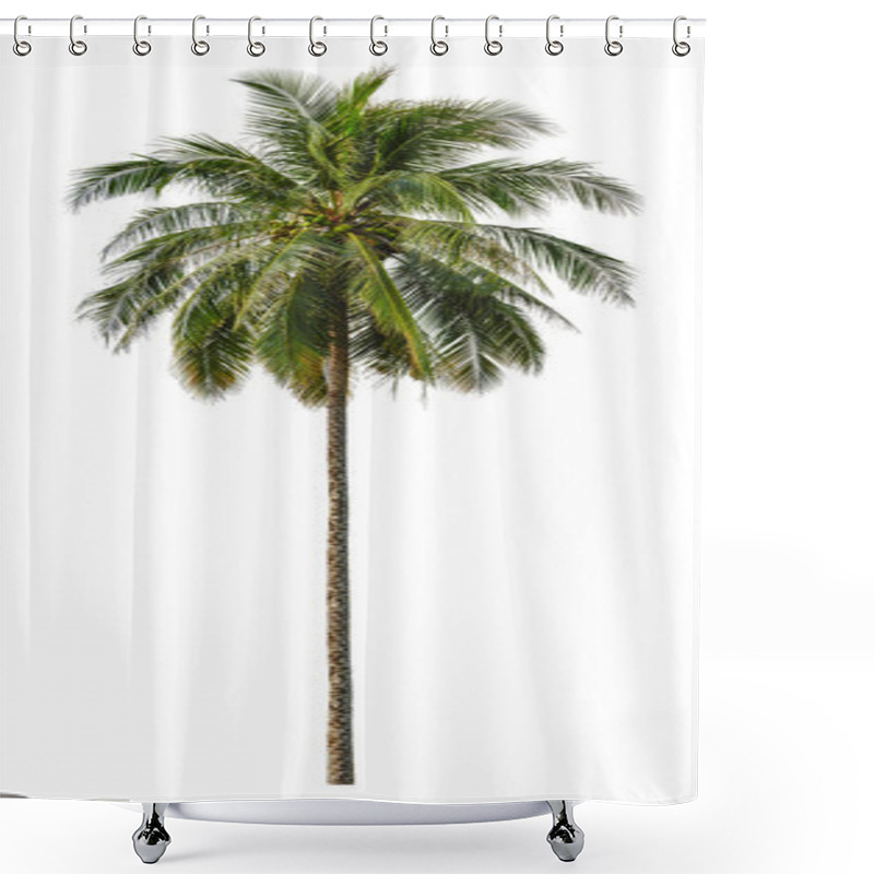 Personality  Coconut palm tree isolated on white background shower curtains