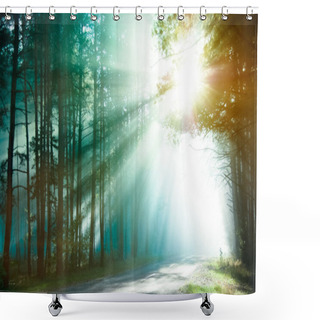 Personality  Magical Forest Shower Curtains