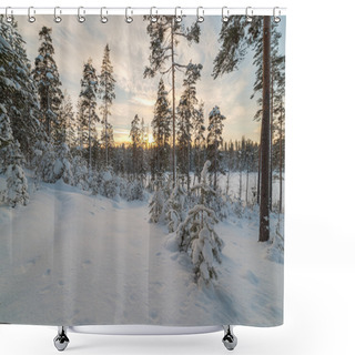 Personality  Winter Snow-covered Wood. Shower Curtains