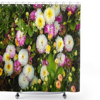 Personality  Photo From Above On Colorful Flower Bed At Park Shower Curtains