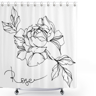 Personality  Vector Black And White Rose With Leaves Illustration Element Shower Curtains