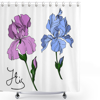Personality  Vector Iris Floral Botanical Flowers. Black And White Engraved I Shower Curtains