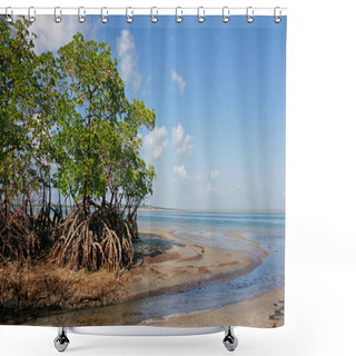 Personality  Mangrove Tree Shower Curtains