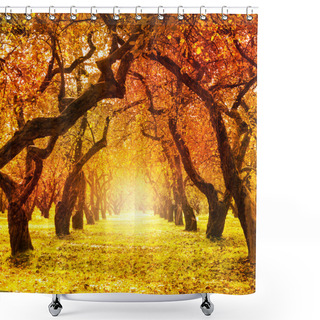 Personality  Autumn. Fall. Autumnal Park Shower Curtains