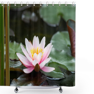 Personality  Beautiful Water Lily Close Up  Shower Curtains