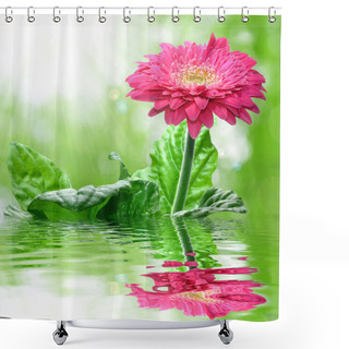 Personality  Gerbera Shower Curtains