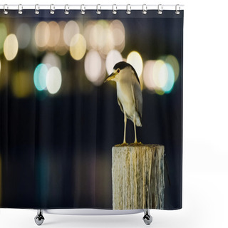 Personality  Night Heron On Pier Shower Curtains