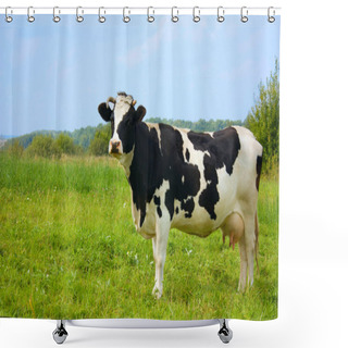 Personality  Cow, With Milk Shower Curtains